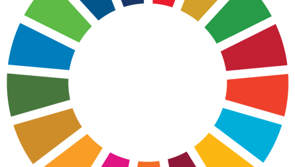 SDG Wheel